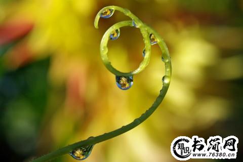 描写恶劣环境的句子 描写环境脏乱的句子