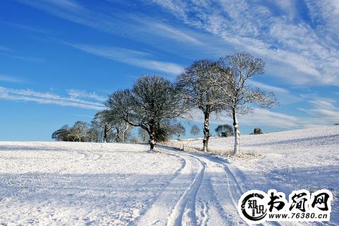 描写春夏秋冬的句子 赞美春夏秋冬的语句