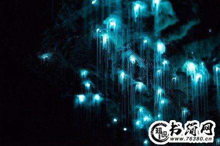 让你温暖的句子 最让人安心温暖的句子