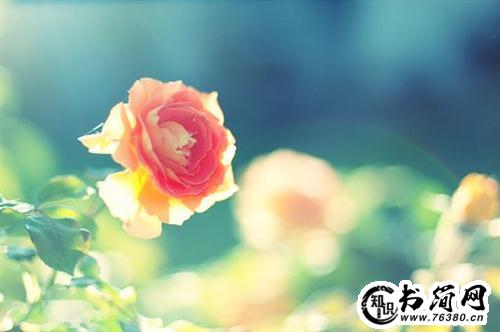 描写杭州的句子 描写杭州的精美句子