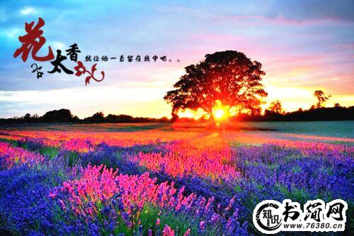 描写幸福句子 全家幸福的句子