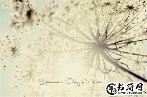 巴金的句子 巴金随想录里的句子