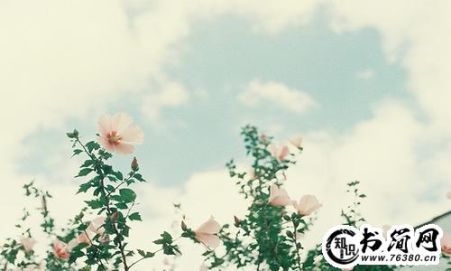 小河的句子 春天小河的句子