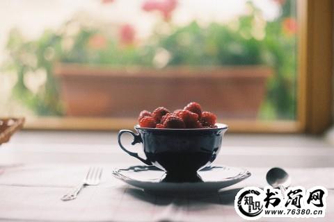 树有关的句子 关于树与人的唯美句子