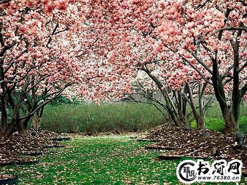 形状的句子 描写形状的句子