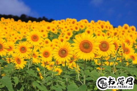 唯美的正能量的句子 有正能量的句子