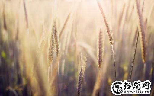 尊重句子 尊重别人精典句子