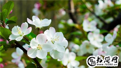 光明的句子 关于光明的句子