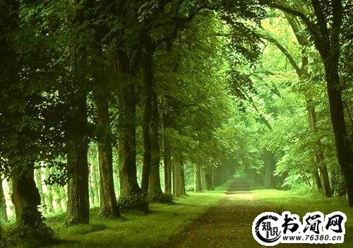 关于困难的句子 描写克服困难的句子