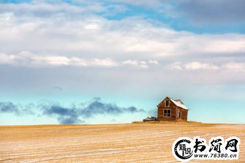 关于保护动物的句子 保护动物的英语句子