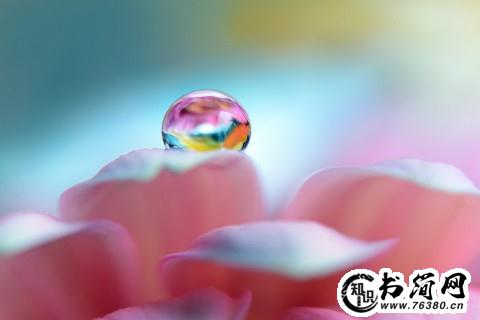 父爱和母爱的句子 父爱和母爱的名言