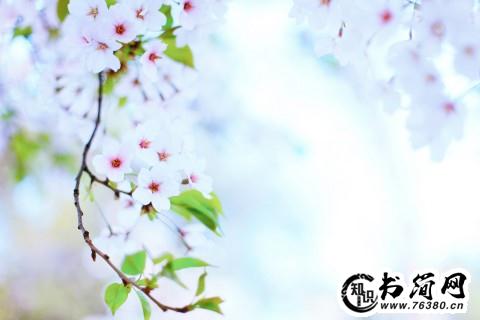 冬景的句子 描写冬景的句子