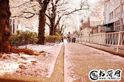 被忽略的句子 形容被忽视的句子