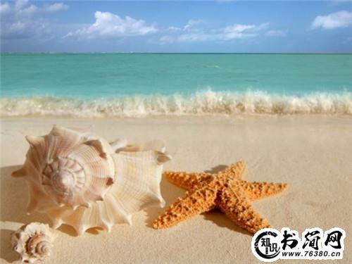 描写衣着的句子