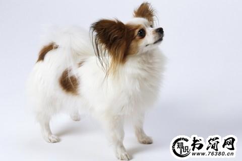 描写衣着的句子 描写衣着的句子