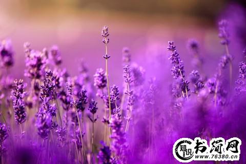 壮志雄心的句子 男人雄心壮志的句子