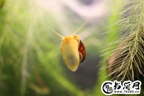 珍惜生命的句子