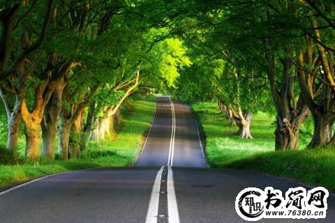 关于成功与失败的句子 正确对待失败的名言