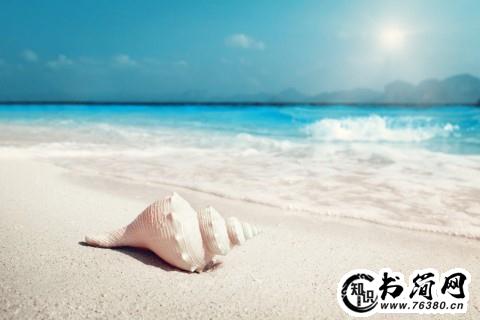 关于分担的句子 关于分担的好句子