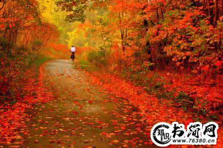 描写秋雨的句子_描写冬雨夹雪的句子