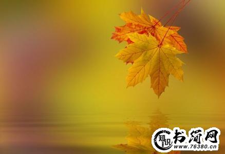 描写秋天景色的句子_描写秋天景色的句子大全