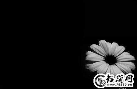 关于花的伤感句子 关于花的伤感唯美说说