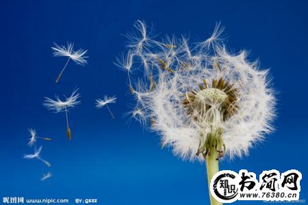 催人奋进的句子_激励人心的句子