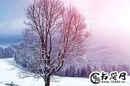 关于雪的句子_关于雪的句子大全