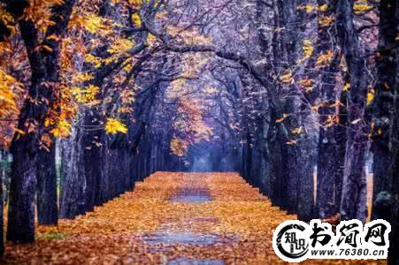 形容秋天的句子_形容冬天的句子