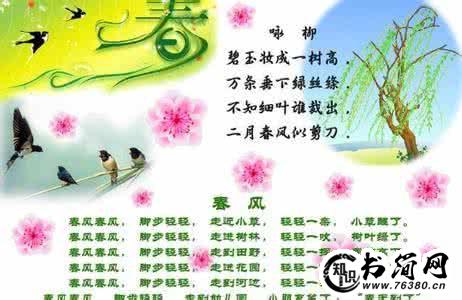 写春天的句子_写春天的句子大全