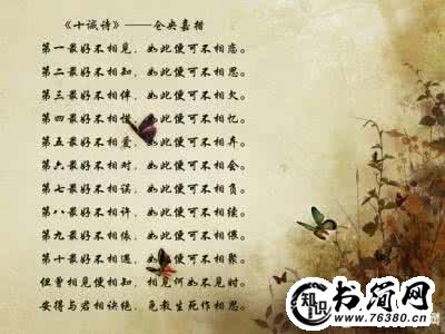 好的爱情句子_好的爱情句子大全