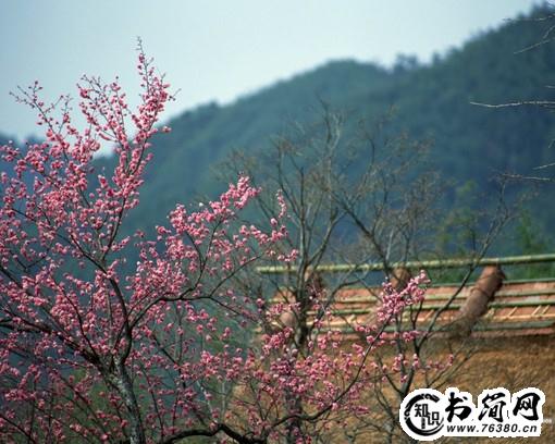 成长励志格言 成长的格言