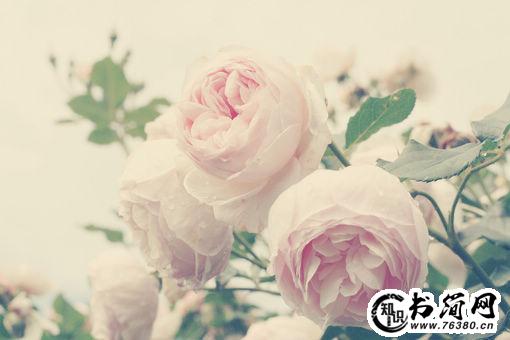 女人励志自己的句子 女生对自己说的励志话